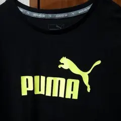 プーマ Tシャツ