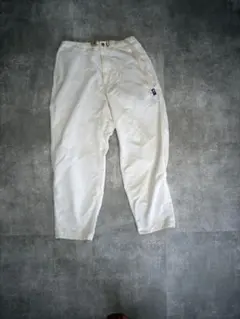 TNF PURPLE LABEL Pants 34のサムネイル