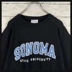 【C-492】ヴィンテージ　スウェット　人気　入手困難　希少　一点物　人気