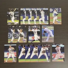 【格安】 2023＆2024 プロ野球チップス 東京ヤクルトスワローズセット販売