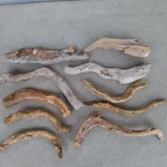 Item thumbnail for item 03f376d0-49c6-49a9-a2b3-845436d4194b