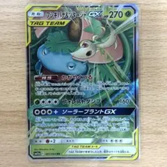 フシギバナ＆ツタージャGX RR