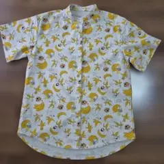 Item thumbnail for item 641dc70b-d65a-4724-99d1-d868d967eafb