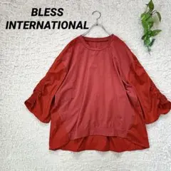 BLESS INTERNATIONAL＊切り替えギャザースリーブプルオーバー