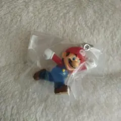 スーパーマリオ　めじるしアクセサリー2