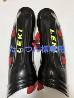 2026年最新】レガー スキーの人気アイテム - メルカリ