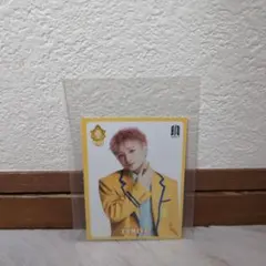 ebidan フォトカードのみ FUMIYA 1枚セット