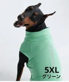【新品】大型犬　夏服　5XL（オーダー用）