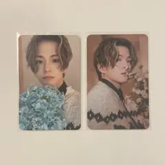 TREASURE Night Garden アサヒ