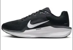 NIKE ウイメンズ　エアウィンフロー11　24.5センチのサムネイル