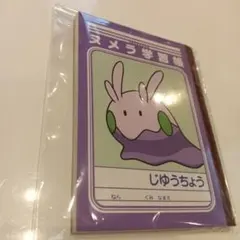 新品ヌメラポケモン じゅうちょう 学習帳