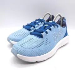 Item thumbnail for item d9c7a5ba-7836-48d4-9c21-b639d12a3805