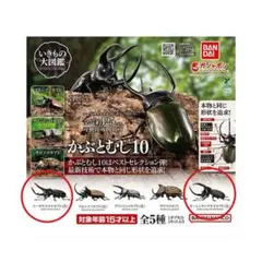 いきもの大図鑑 かぶとむし10 コーカサスオオカブト モーレンカンプオオカブト