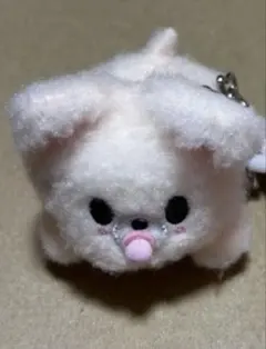スキズ RUN IT ソウルコン ランダム ハイハイぬい フィリックス - メルカリ