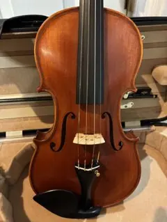 ⭐️本日限定18万円⭐️】チェロ Fiumebiancaフルセット - メルカリ