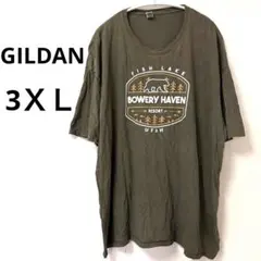 希少3XL✨ギルダン Bowery Havenカレッジロゴ Tシャツ USA古着