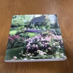 Item thumbnail for item c9abeffa-e2c1-4a7d-9bfc-38da161b079d