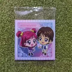 にふぉるめーしょん　プリキュアオールスターズ　のぞみ＆コージ