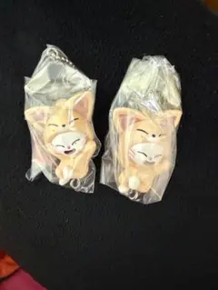 SKZOO つまんでつなげてますこっと Jiniret