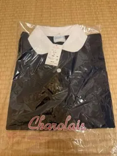 Item thumbnail for item a1cf9e63-6489-4f85-8d0f-a6d5eae58f55