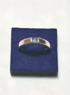 Item thumbnail for item 5627b61e-41c4-4355-90ac-ec538dbbe4e3