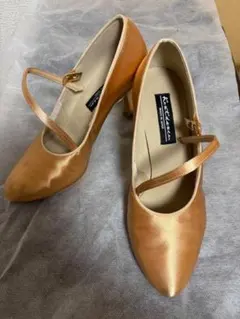 Item thumbnail for item 403f9240-ec0f-4d52-bc48-307fe3b4922b