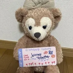 香港ディズニーランド　ダッフィー　チケット風カード　非売品　おまけ　ステッカー