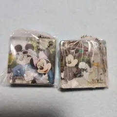 ディズニー アクリルキーホルダー 2点セット