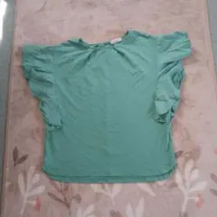 Item thumbnail for item 8f4c6b55-3ade-4dab-8cf5-ff513138a8a3