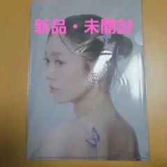 Item thumbnail for item 2006ffbc-f840-4081-b807-a2e333451e5c