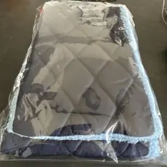 Item thumbnail for item 4b4a59d8-9158-4fea-8028-5445ac3ff468