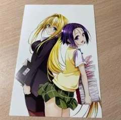 ToLOVEる　ダークネス　西蓮寺春奈　ティアーユ　ポストカード　矢吹健太郎