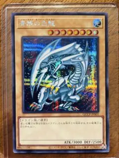 PSA10 青眼の白龍(1左向/石板背景){QCAC-JP021} 遊戯王 - メルカリ