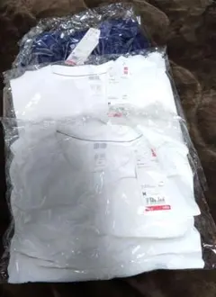 Item thumbnail for item 9dbb84fc-783d-41d8-aec1-85902593b660