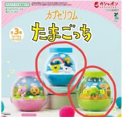 カプセリウム たまごっち まめっち&みみっち くちぱっち&ちびぱっち 2個セット