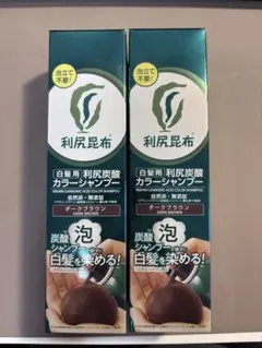 新品】利尻昆布 利尻炭酸カラーシャンプー ダークブラウン 2本セット