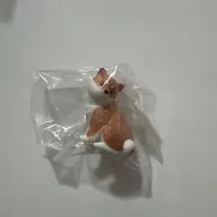 振り向けば君が犬「歩み」 柴犬