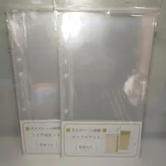 Item thumbnail for item 0c675477-e4dc-4246-a59e-4430c006837b