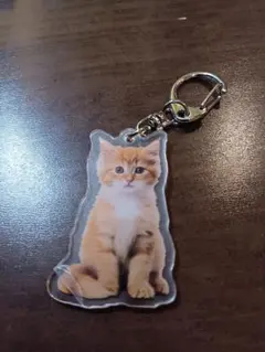 新品 猫ねこ アクリルキーホルダー
