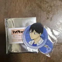 ハイキュー!! 東武動物公園 影山飛雄 アクリルスタンド