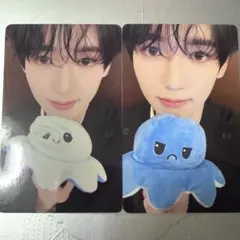 【即購入⭕️】ZB1 ユジン 中華 yzy 一直娯 ヨントントレカセット 5集