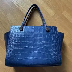 【送料込】cat in the closet ハンド&ショルダーバッグのサムネイル