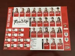 레드 테리어 2026 플레이어 디렉토리 2 개 세트 미사용