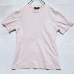 ナノユニバース クルーネック 半袖Tシャツ 無地 淡ピンク（L）