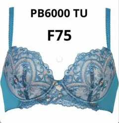 Item thumbnail for item bfeb727b-624c-47c4-b43b-9655669e34b7