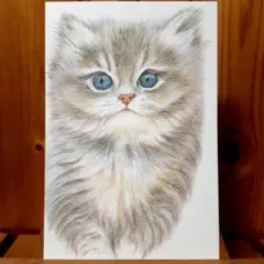 Item thumbnail for item 935850d4-e8d4-44c0-a312-78122c441a5e