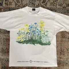 Georgia State Parks ヴィンテージ Tシャツ XL