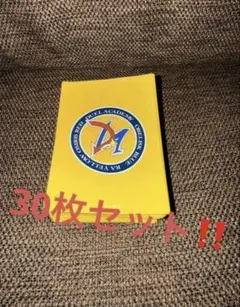 遊戯王　デュエルアカデミア　ゴールドロゴ　プロテクター　スリーブ未開封 遊戯王 デュエルアカデミア ゴールドロゴ プロテクター スリーブ