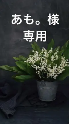 あも。様 リクエスト 2点 まとめ商品