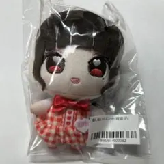 iLiFE アイライフ 推しぬいマスコット 心花りり ぬいぐるみ 武道館